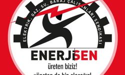DİSK Enerji-Sen üye sayısı kaç, başkanı kim?