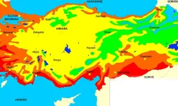 Afrika'dan 1000 tane getirip Türkiye'ye yayacaklar