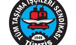 TÜMTİS Sendikası yönetim kurulu kimlerden oluşur?