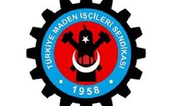 Türk Maden-İş üye sayısı kaç, başkanı kim?