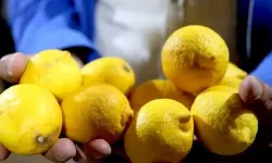 Limonun tadı iyice kaçtı…Limonda yasaklı madde tespit edildi!