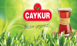 ÇAYKUR İş Başvurusu Nasıl Yapılır? Çalışma Şartları