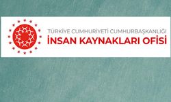 İnsan Kaynakları Ofisi Başkanlığı sınavsız personel alıyor!