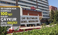 ÇAYKUR’da kadrolu işçi sayısı 100’e düştü!