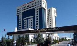 Tarım ve Orman Bakanlığı çalışanları yapılan atamalara tepkili