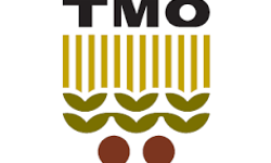 TMO'dan "Yunanistan menşeli pirinç" iddialarına yanıt