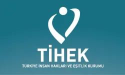 Sayıştay: TİHEK çıkarması gereken mevzuatı hala çıkarmamış