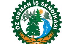 Öz Orman-İş Sendikası: Bu teklif alın terine hakaret!
