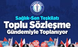 Sağlık-Sen toplu görüşme öncesi teşkilatını topluyor!
