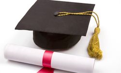 Diplomaya meraklı üst düzey bürokratlar