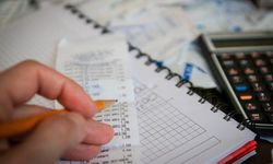 Kamu bankalarındaki denetim kurulu üyeleri huzurlarını bozmak istemiyor