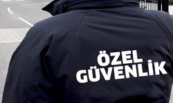 Müdürün arkasından 'küfür' eden güvenlik görevlisi tazminatsız işten atıldı!