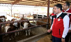 Bakan Yumaklı’ya Et ve Süt Kurumundaki yönetim skandalıyla ilgili kritik sorular