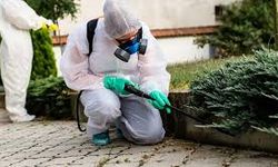 'Haşere ilaçlama' için alındı 'hemşire' kadrosuna atandı!