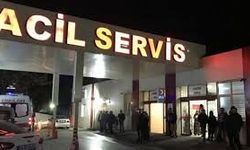 Tarım İl Müdürlüğü'ndeki 'müdürlerin kavgası' hastanede bitti!