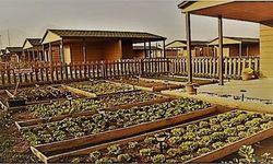 Hobi bahçelerine 'elektrik ve su' yok!