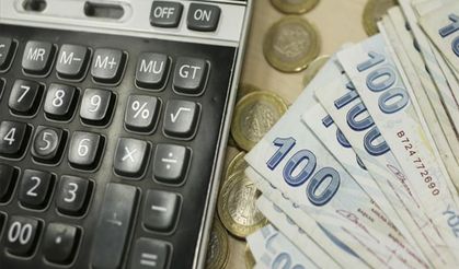 Maliye'nin umudu cezalarda: 1 yıllık ceza 1 ayda kesildi