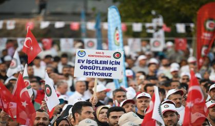 Tarihi başarı: Hizmet-İş, 20 bin ev işçisini örgütleyerek rekor kırdı