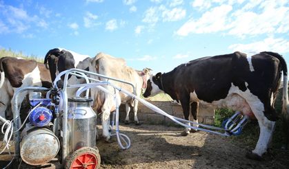 Çiğ süt fiyatı 8 ay sonra 2,5 lira artırıldı!