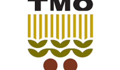 TMO'dan "Yunanistan menşeli pirinç" iddialarına yanıt