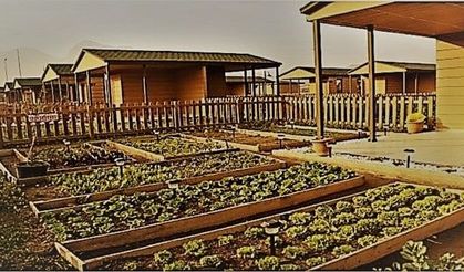 Hobi bahçelerine 'elektrik ve su' yok!