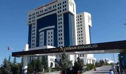 Su ürünleri yönetmeliği değişti!