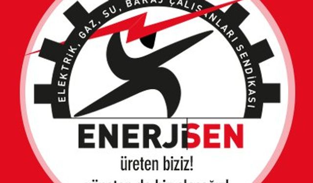 DİSK Enerji-Sen üye sayısı kaç, başkanı kim?