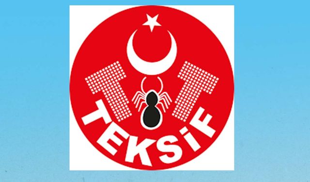 Dokuma iş kolunda TEKSİF’in ne kadar üyesi var?