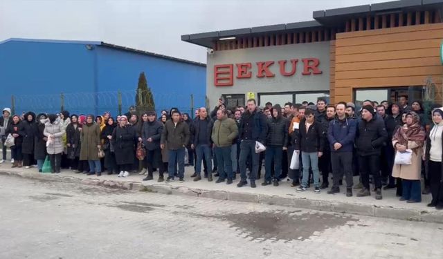 ESK’nın ithal sığır satışında kıyak geçtiği EKUR ET’te işçiler haklarını alamadıkları için eyleme başladı!