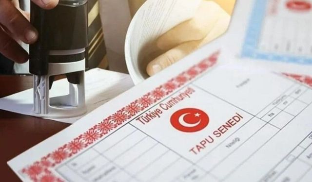65 yaş üstüne rapor zorunluluğu var mı?