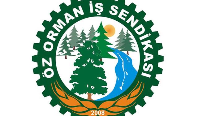 Öz Orman-İş Sendikası: Bu teklif alın terine hakaret!