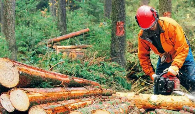 Tarım ve ormanda çalışan 185 bin kişiden sadece 40 bini sendikalı! Öz Orman-İş liderliğini devam ettirdi...