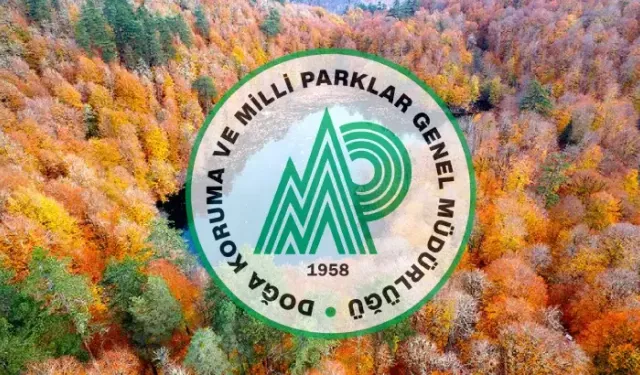 Milli Parklar Genel Müdürlüğü 240 Personel Alacak