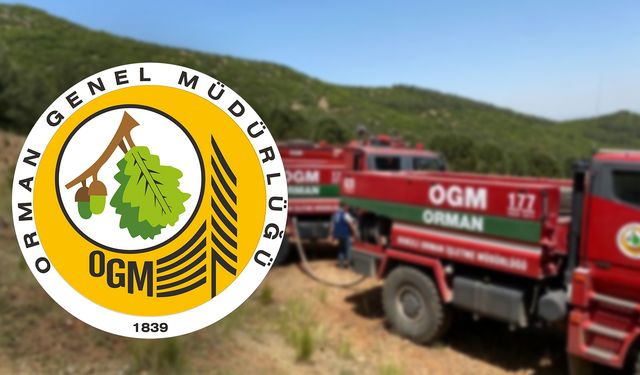 Orman Genel Müdürlüğü 496 Personel Alacak