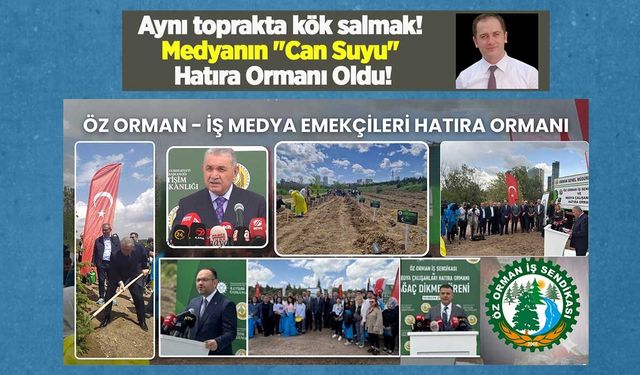 Aynı toprakta kök salmak: Medyanın "Can Suyu" hatıra ormanı oldu!