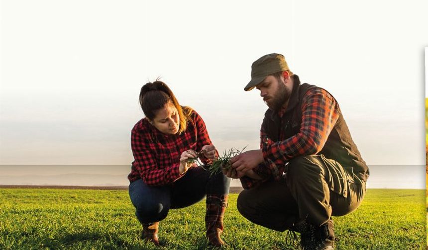 Cargill'den desteklemelere ilişkin rapor