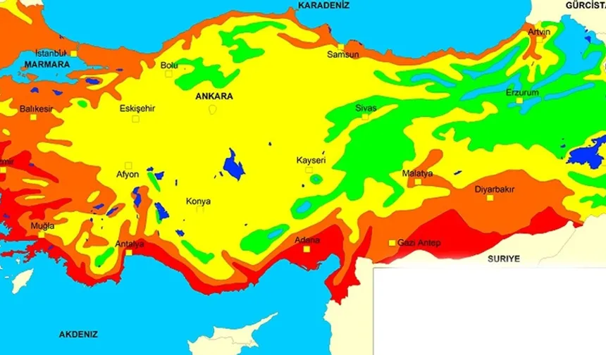 Afrika'dan 1000 tane getirip Türkiye'ye yayacaklar