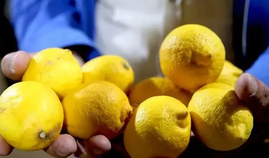 Limonun tadı iyice kaçtı…Limonda yasaklı madde tespit edildi!