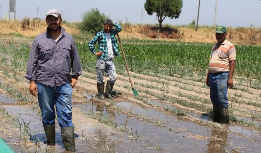 Tarımda çalışacak işçi bulunamıyor!