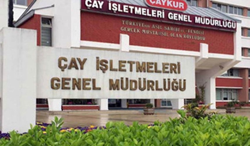 Çaykur işçisine müjde: Sözleşmeli  personel olma hakkı tanındı