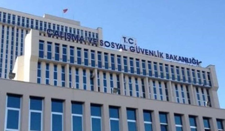 Çalışma Bakanlığı 100 müfettiş yardımcısı alacak!