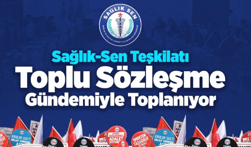 Sağlık-Sen toplu görüşme öncesi teşkilatını topluyor!