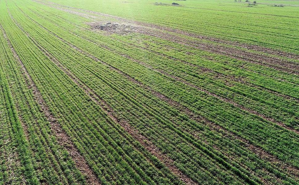 Tarım ve Ormana İlişkin Kanun Teklifi Resmi Gazete'de yayımlandı