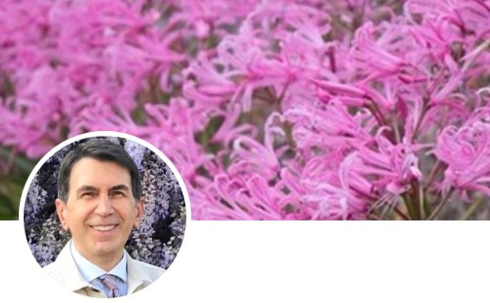 Başkana "twerk gösterisi yap da maaşları öde" demek hakaret sayıldı