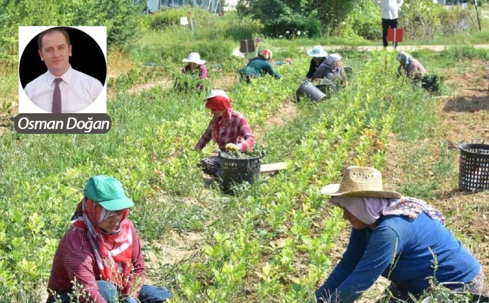 Çiftçinin emeğini kim çalıyor?