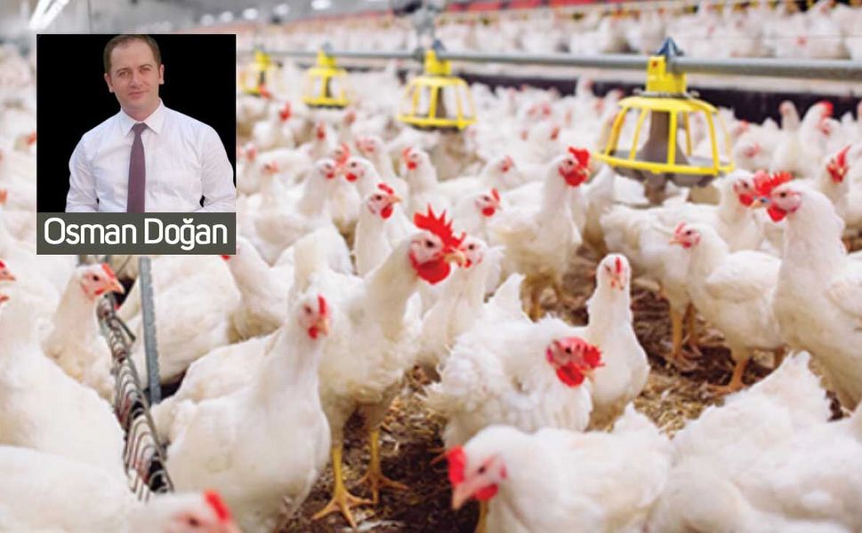Vatandaşın sofrasındaki büyük soru: Baronlar mı, serbest piyasa mı?