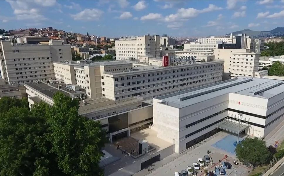 Hacettepe Üniversitesi 196 Sözleşmeli Personel Alacak