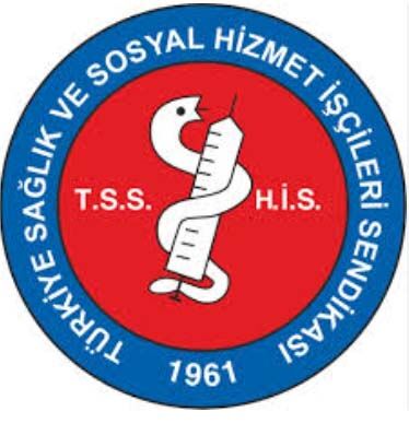 Sağlıkiş